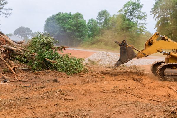 Ground Clearing in Mission Viejo