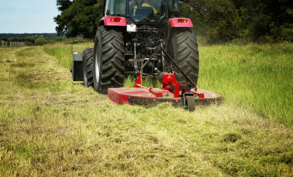 Brush Clearing Service in Mission Viejo