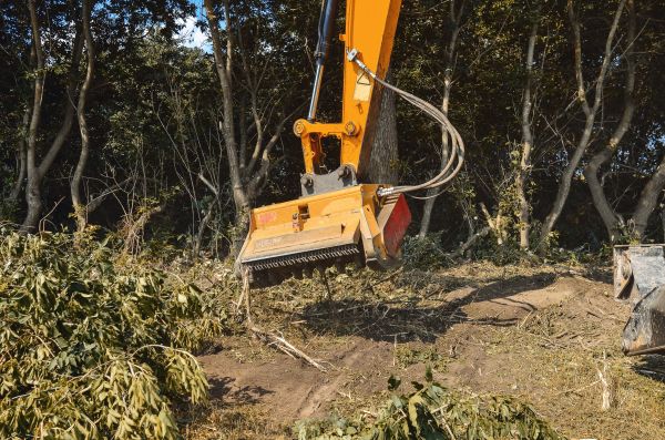 Brush Removal Service in Mission Viejo