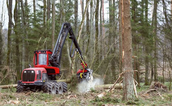 Cost of Forest Clearance Service in Mission Viejo