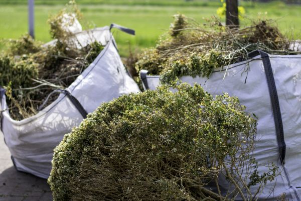 Bushes Clearing in Mission Viejo