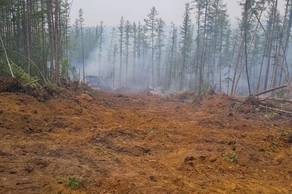 Cost of Hill Clearing in Mission Viejo