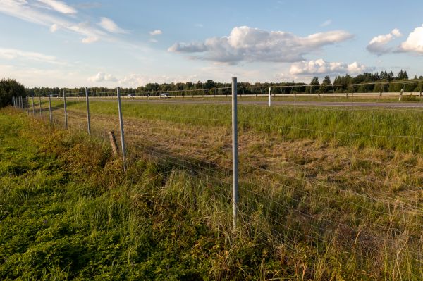 Cost of Property Line Clearing in Mission Viejo