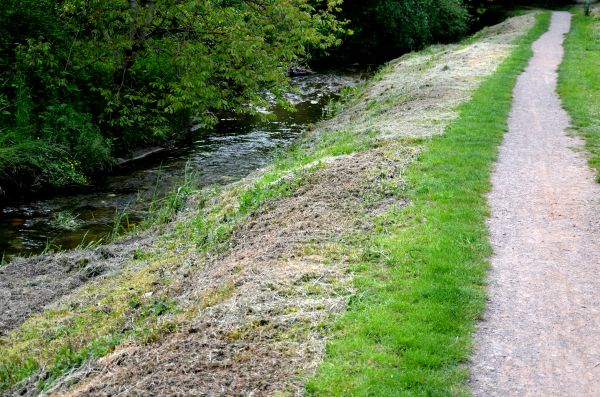 Cost of Trail Cutting in Mission Viejo