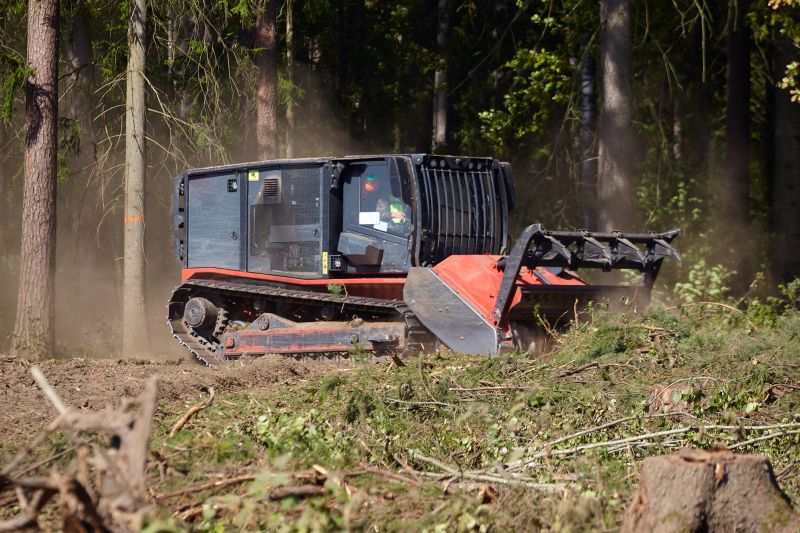 Vegetation and Debris Removal