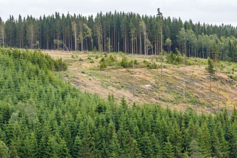 Winter Weather Challenges